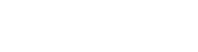 National AI Consortium